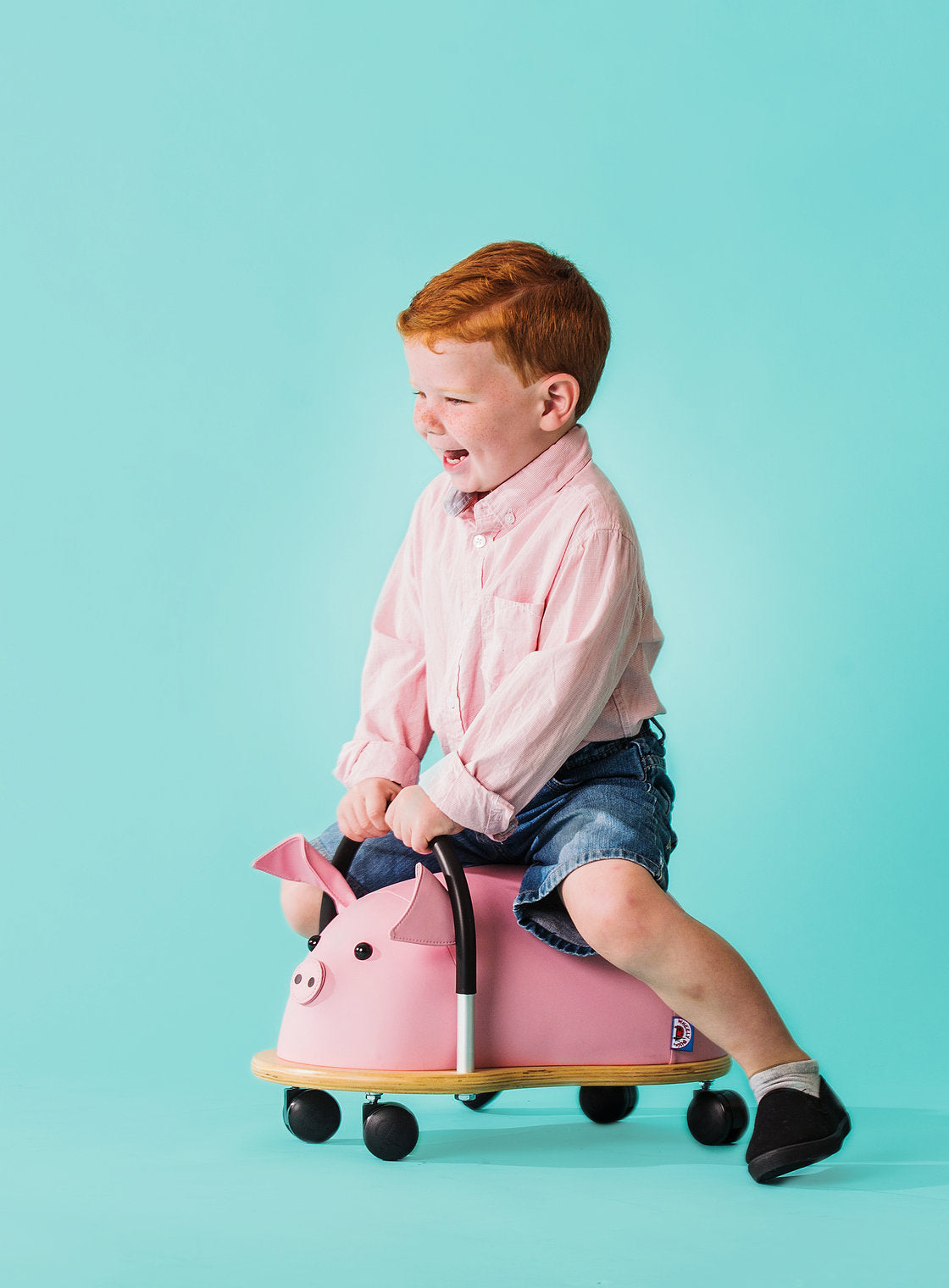 Wheelybug | Varkentje Small