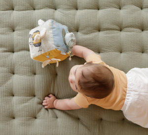 Little Dutch | Activiteitenkubus Little Goose