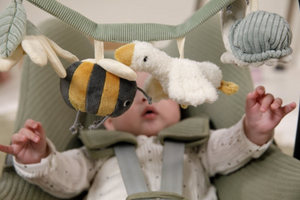 Little Dutch | Wagenspanner Little Goose